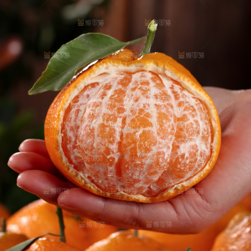 春见耙耙柑