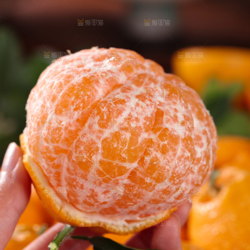 春见耙耙柑