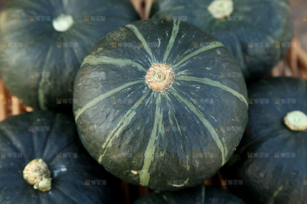 贝贝南瓜
