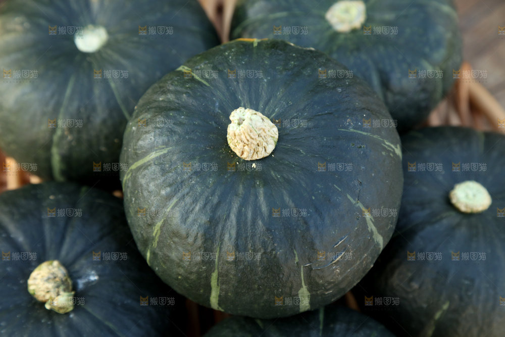 贝贝南瓜