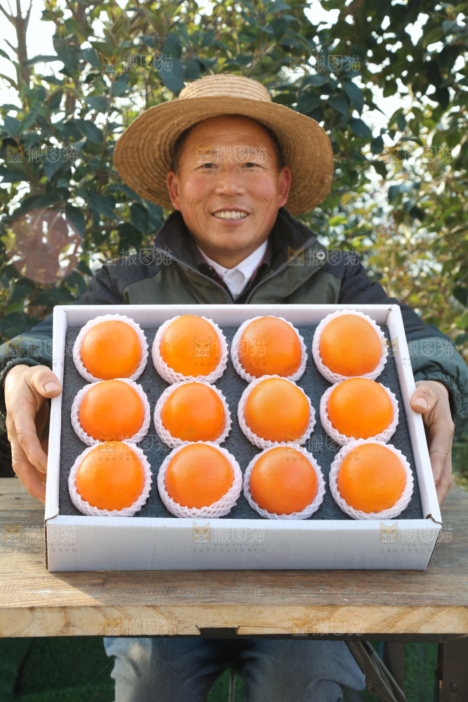 纽荷尔脐橙