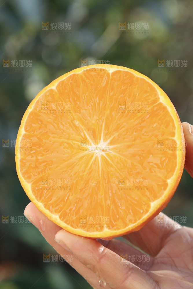纽荷尔脐橙