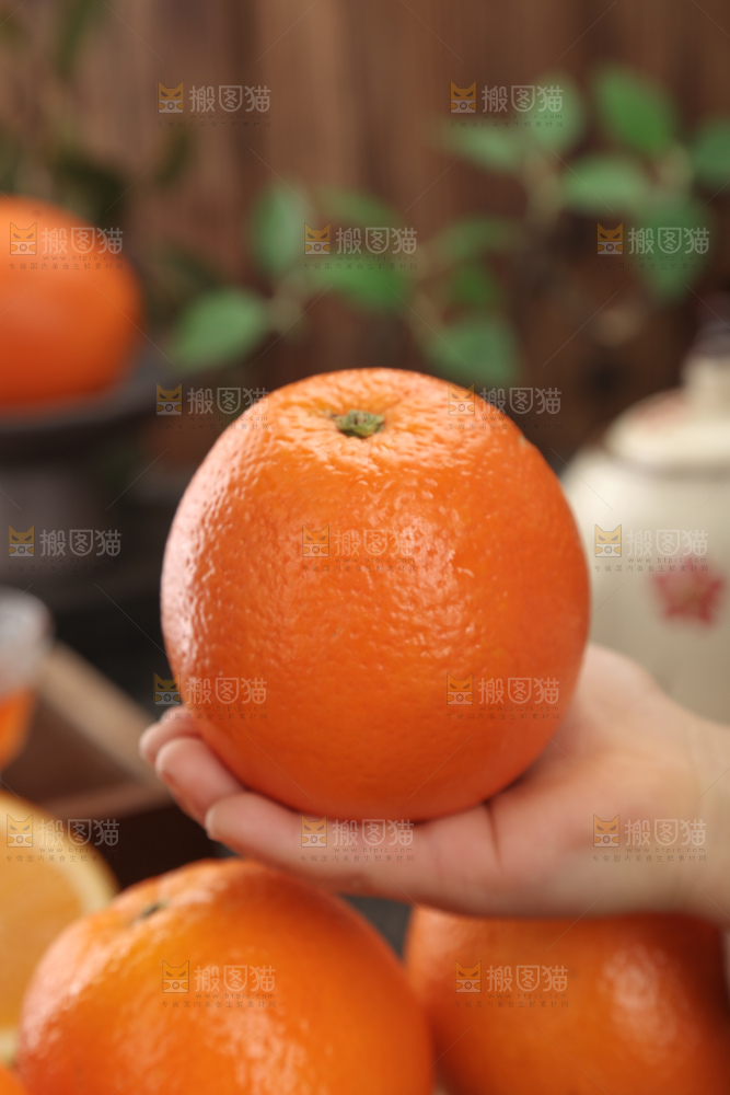 纽荷尔脐橙