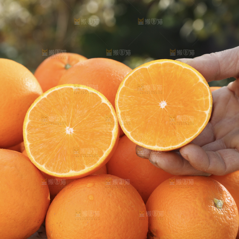 纽荷尔脐橙