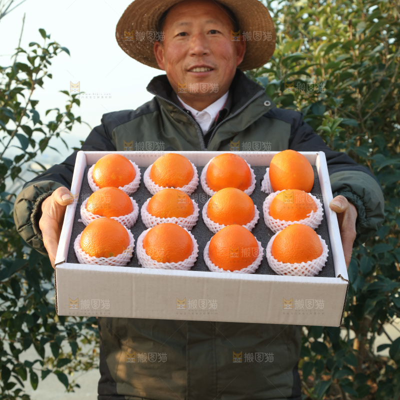 纽荷尔脐橙