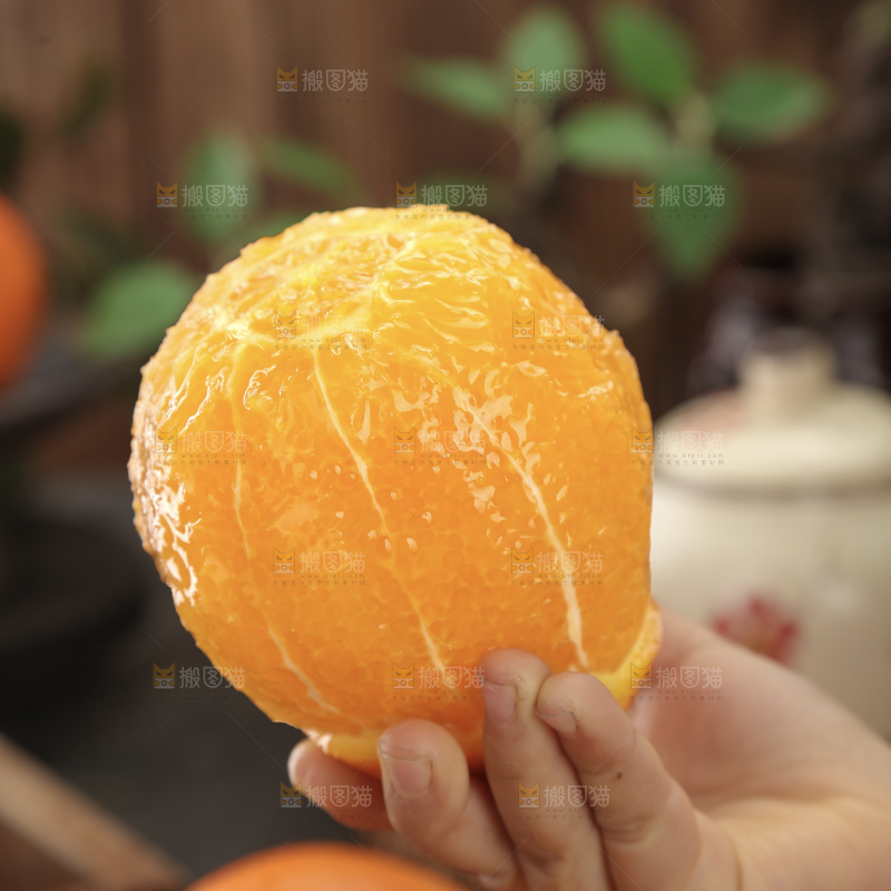 纽荷尔脐橙