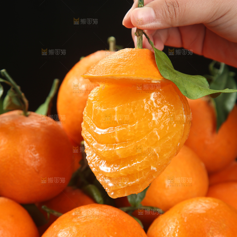 爱媛果冻橙