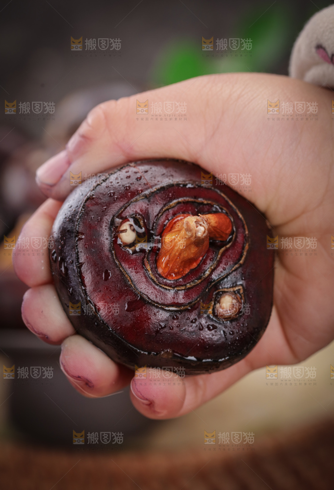 马蹄
