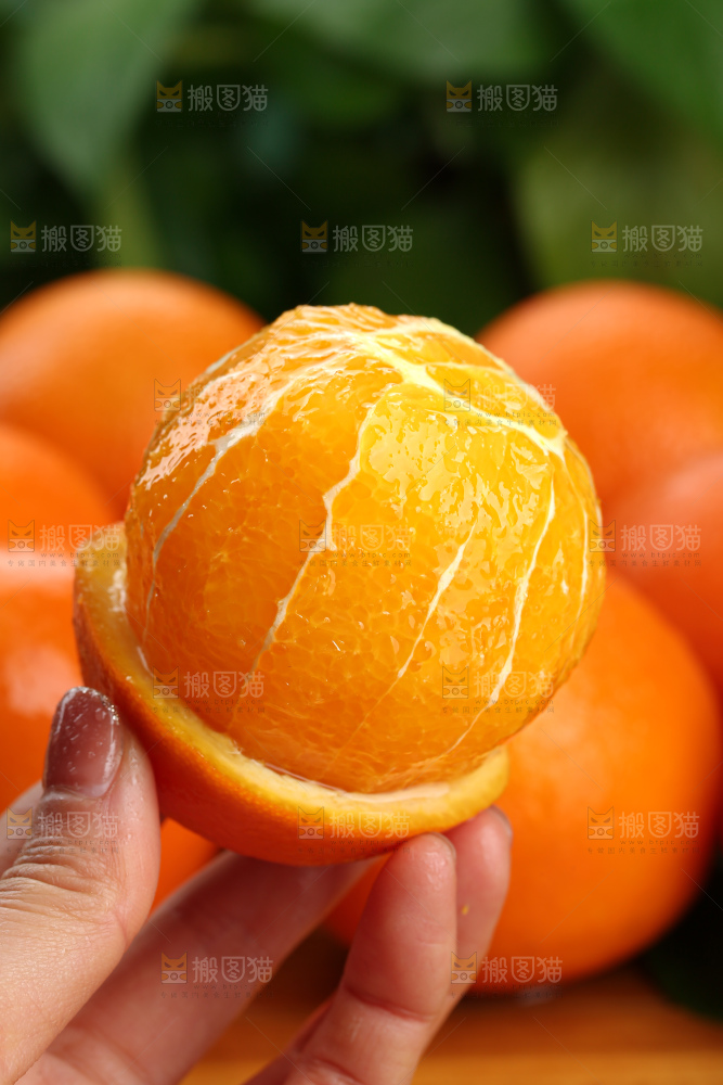 纽荷尔脐橙