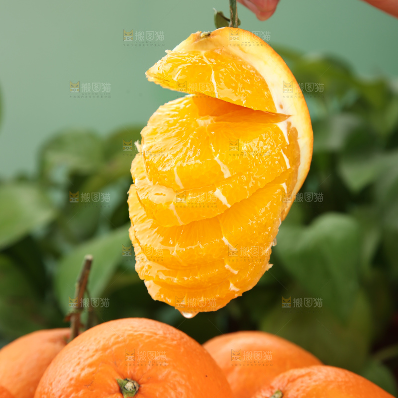 纽荷尔脐橙