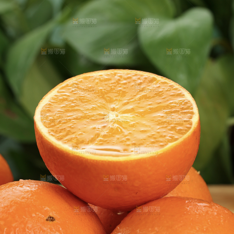 纽荷尔脐橙