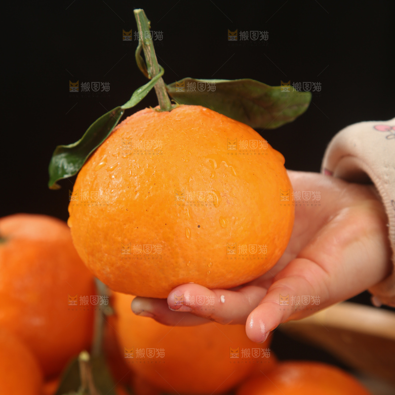 爱媛果冻橙