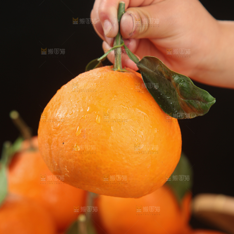 爱媛果冻橙
