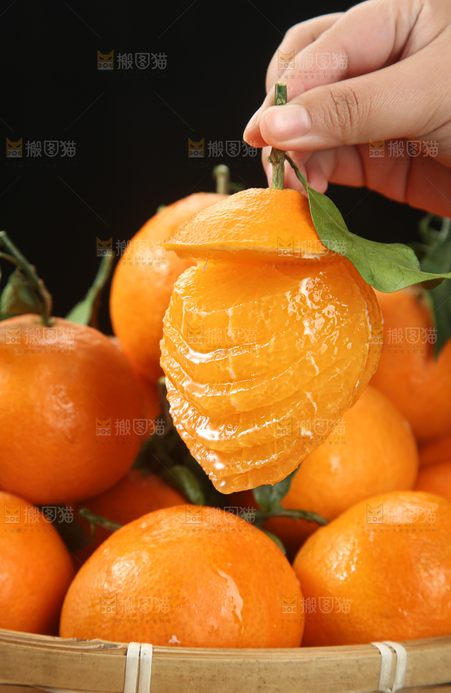 爱媛果冻橙