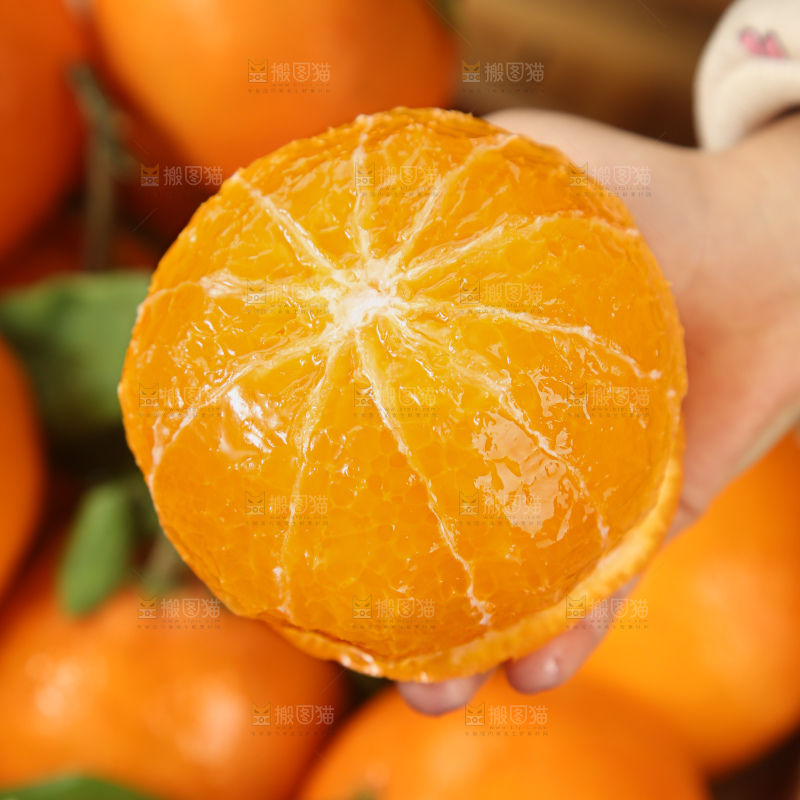 爱媛果冻橙