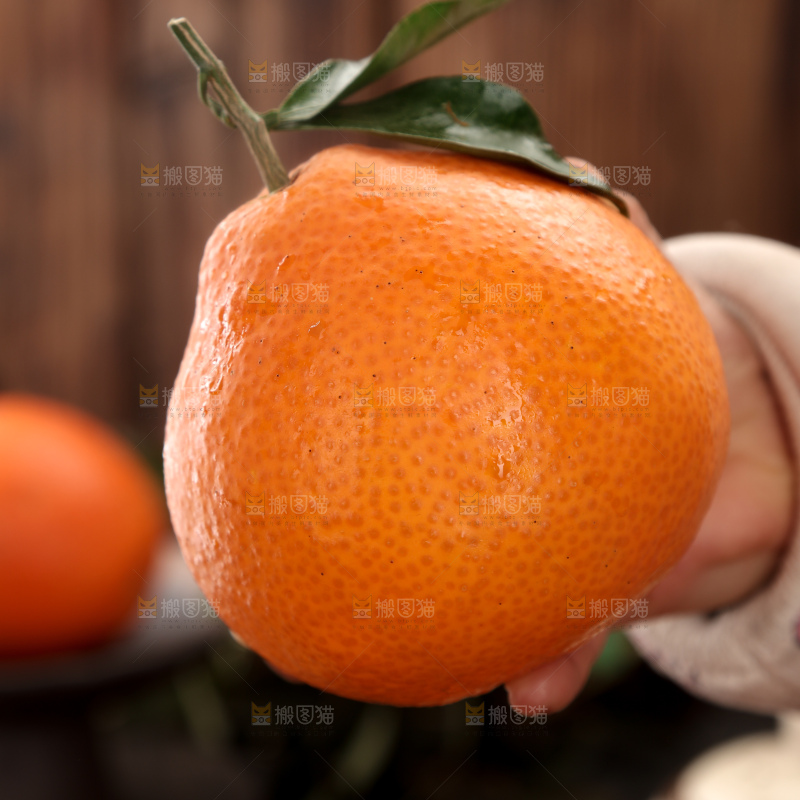 爱媛果冻橙