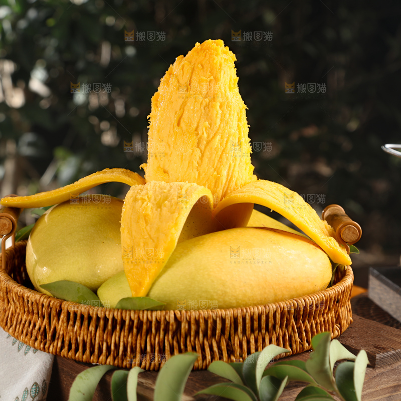 水仙芒