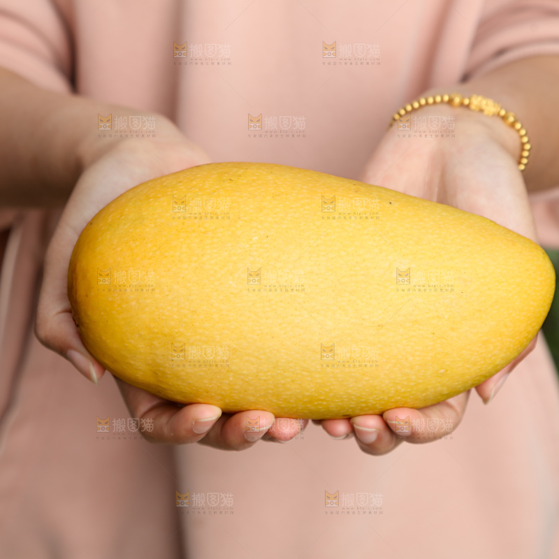 水仙芒
