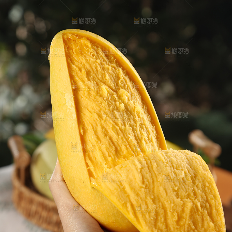 水仙芒
