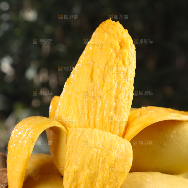 水仙芒