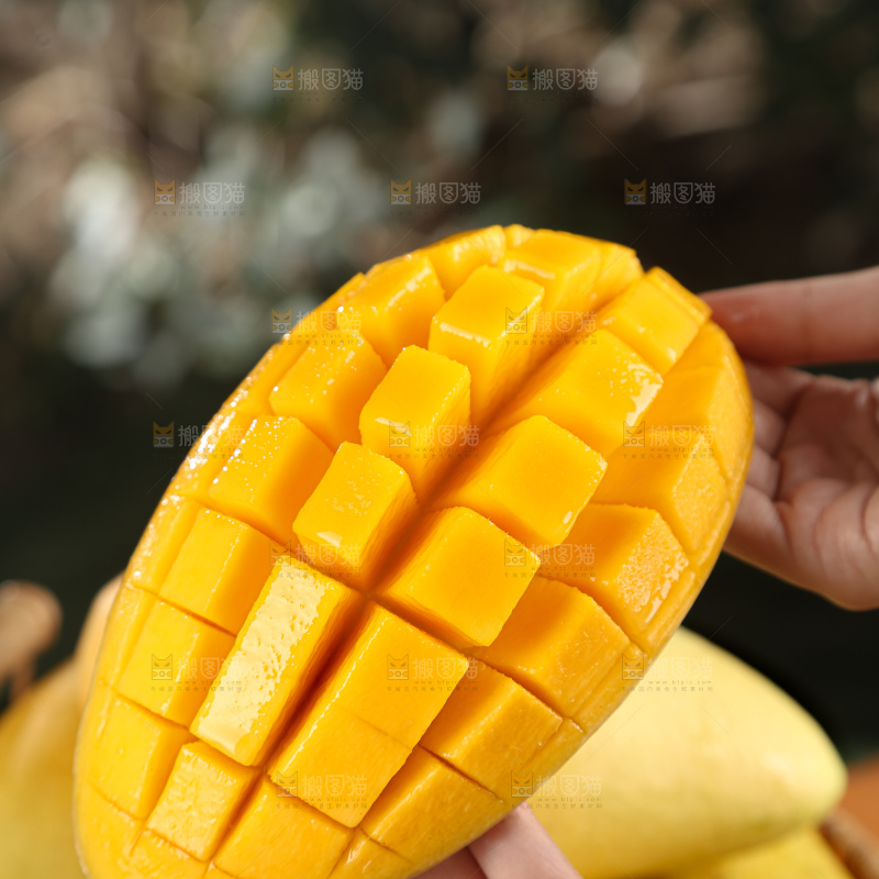 水仙芒