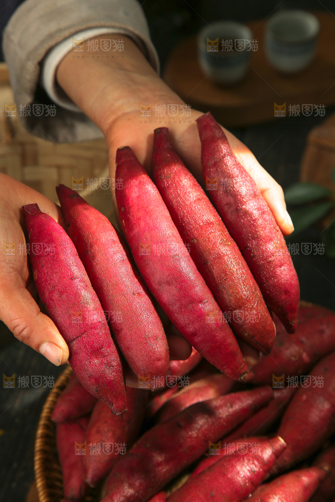 小香薯