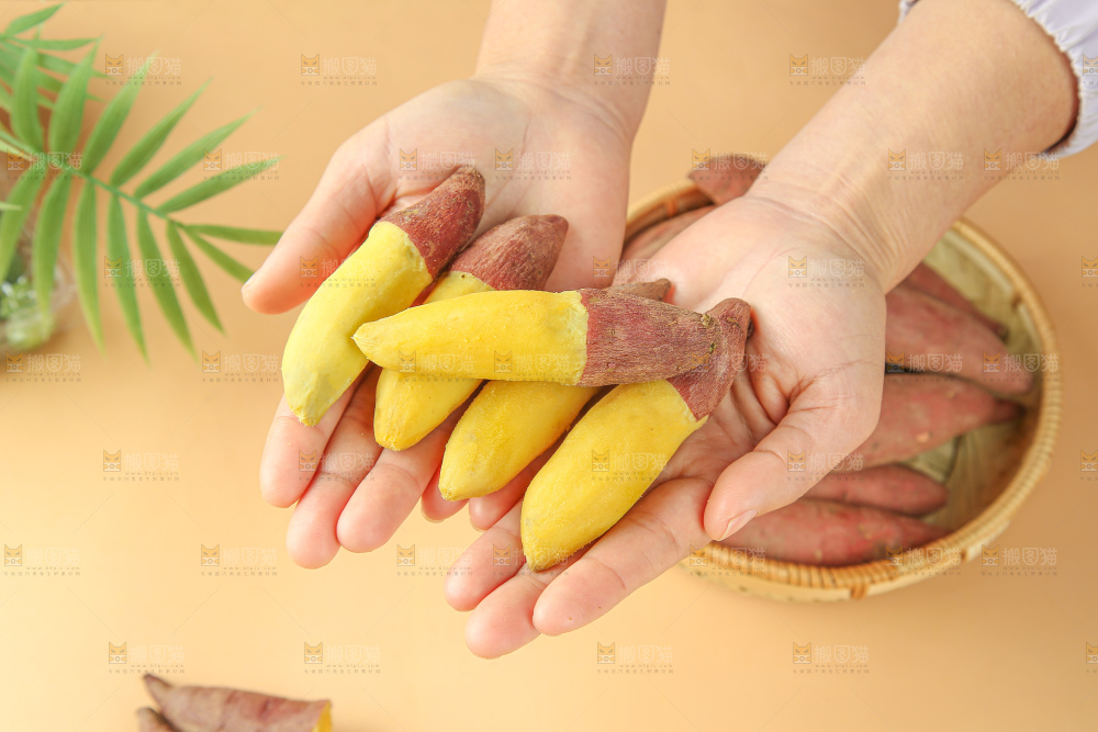 小香薯
