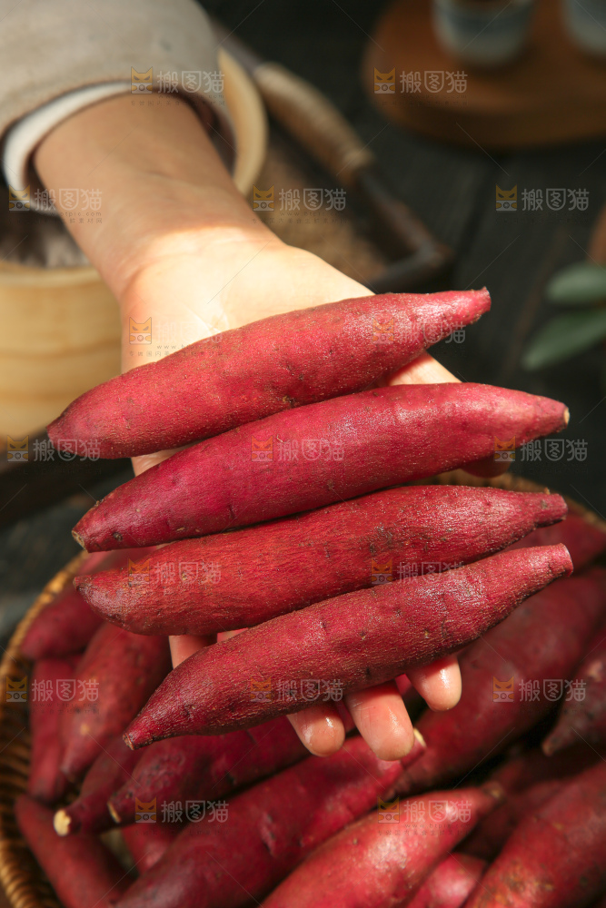 小香薯