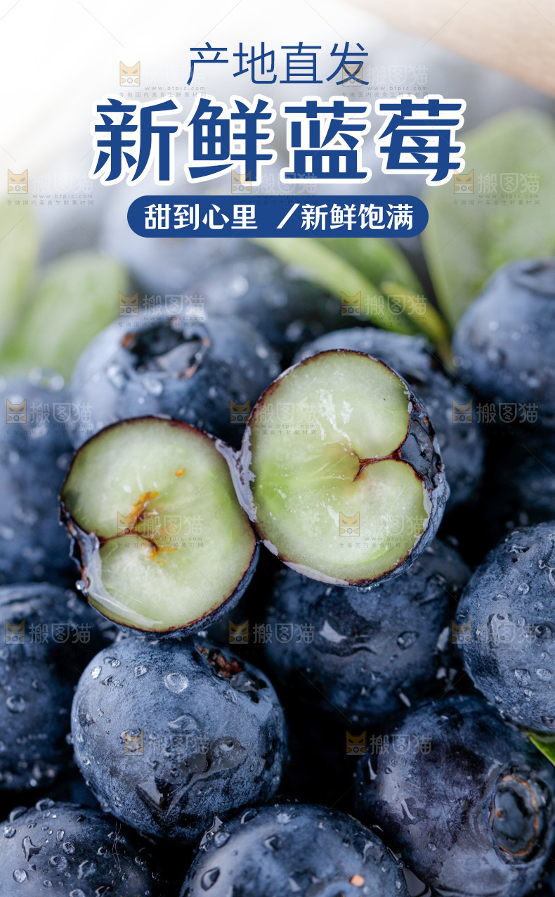 蓝莓详情页