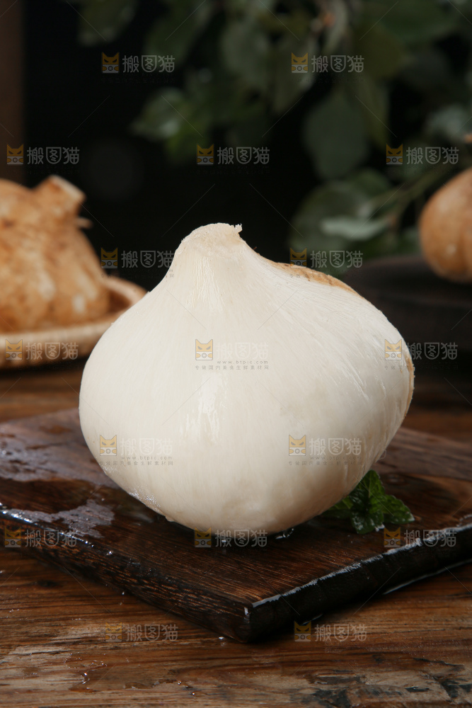 凉薯