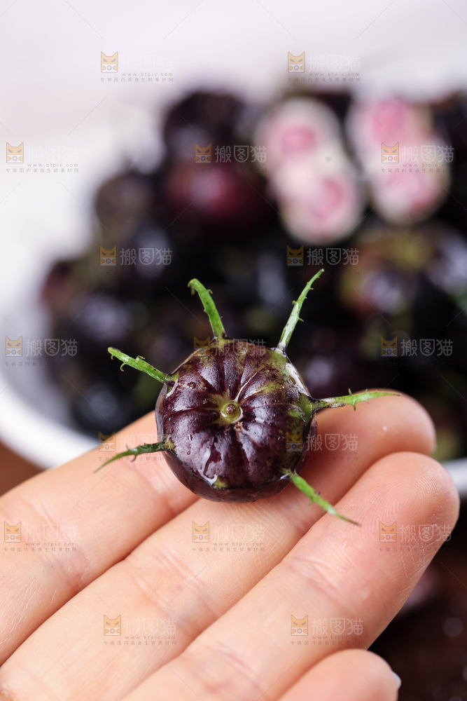 红果参