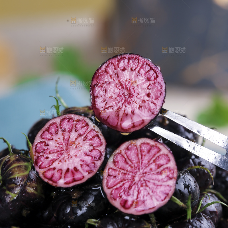 红果参