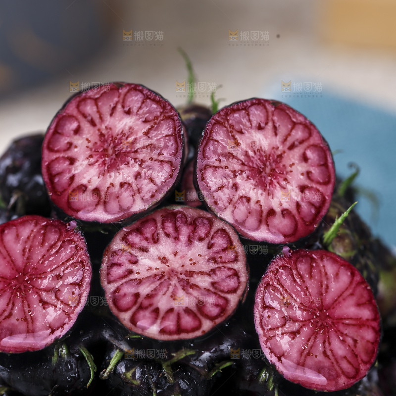 红果参