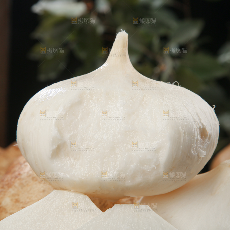 凉薯
