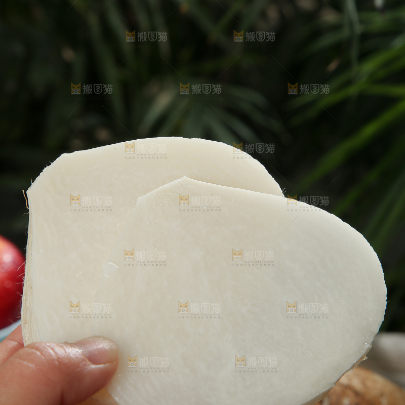 凉薯