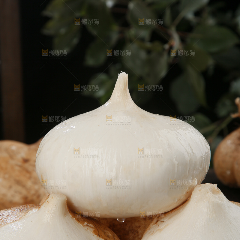 凉薯