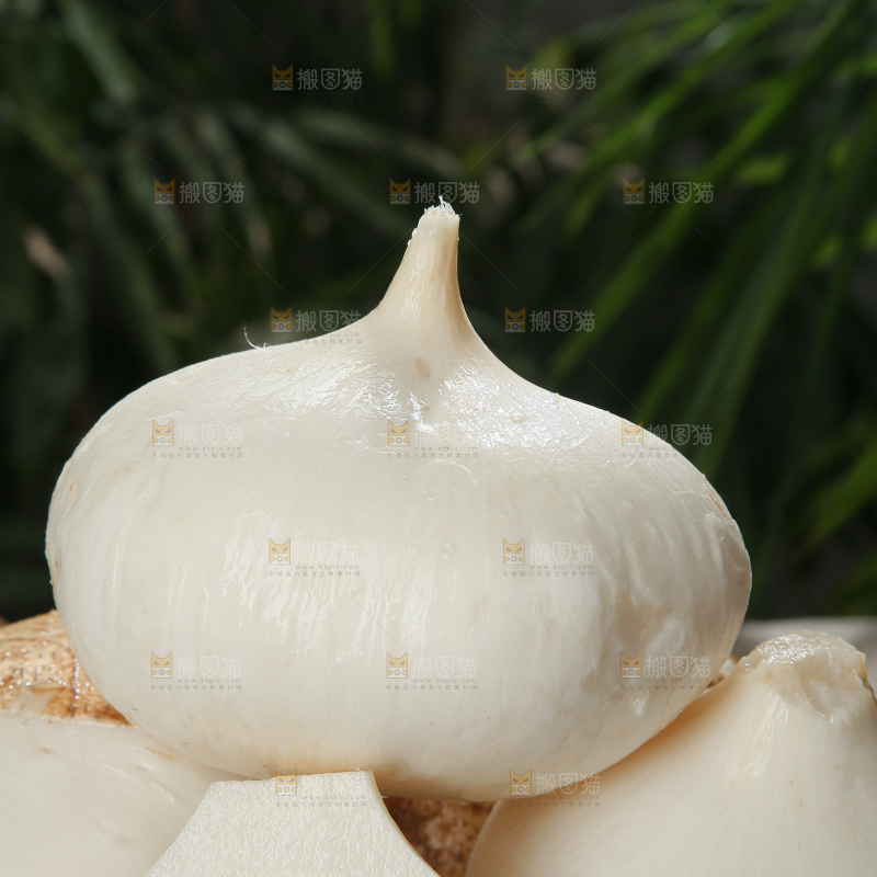 凉薯