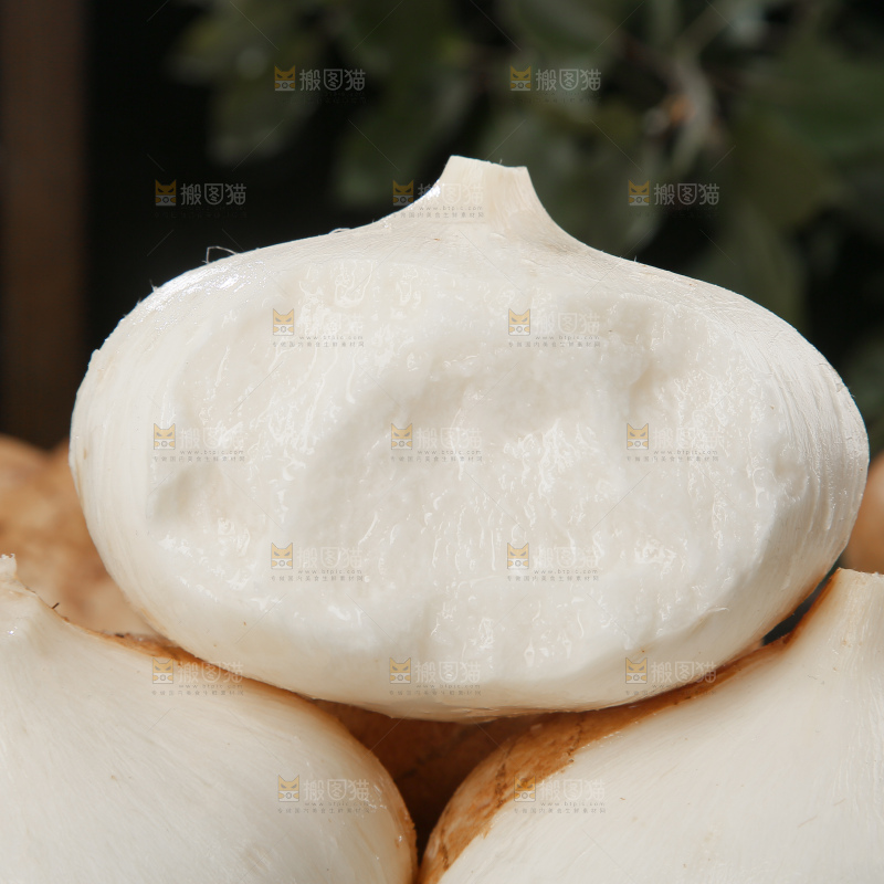 凉薯