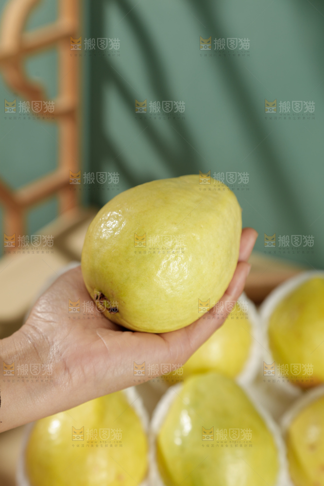 白心芭乐
