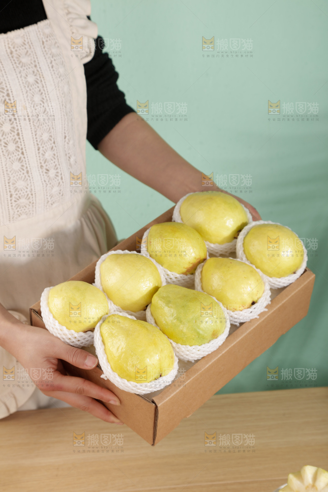 白心芭乐