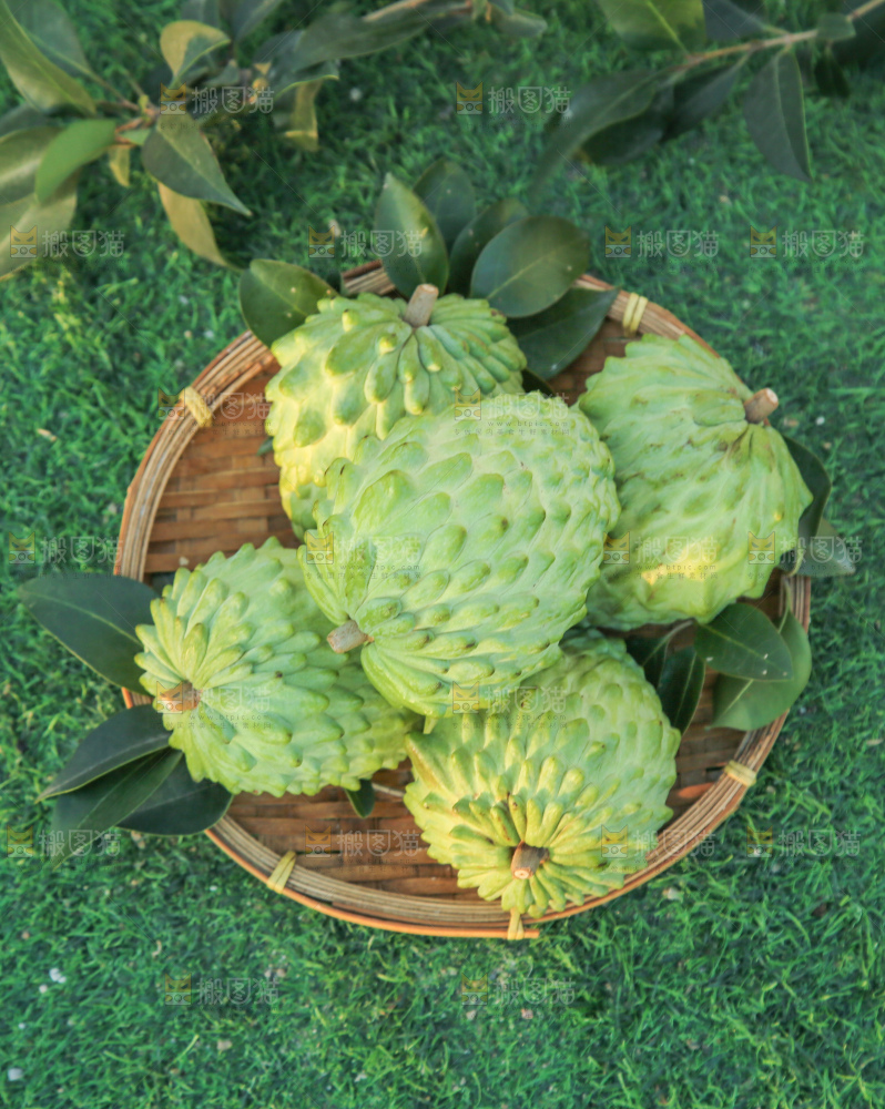 释迦果