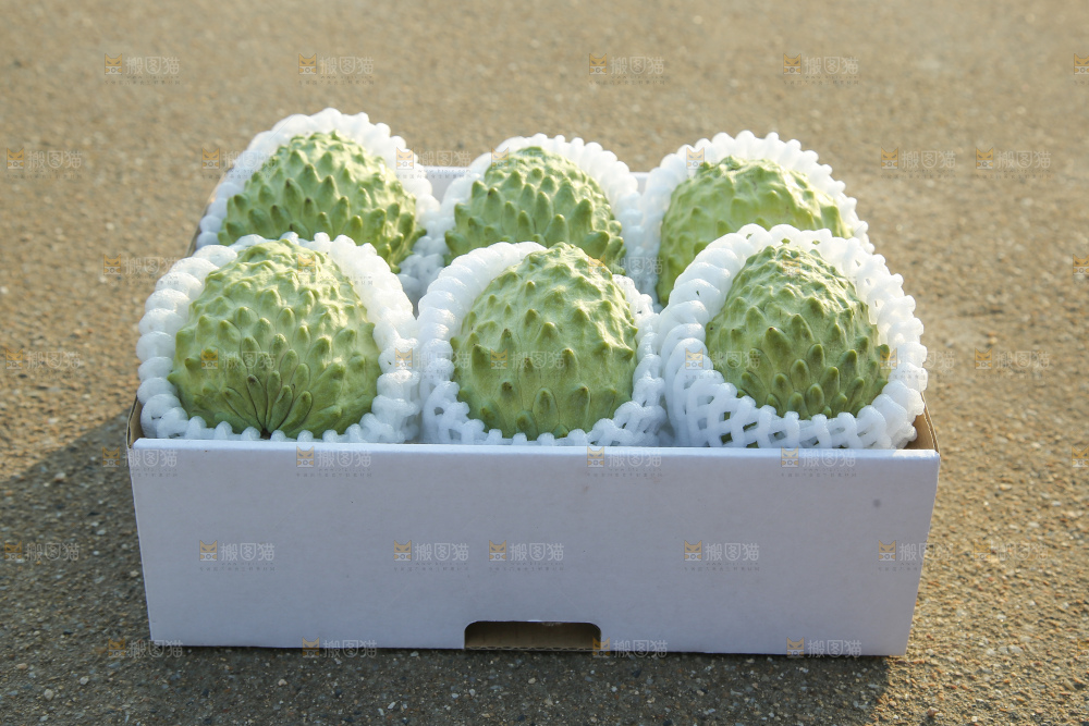 释迦果