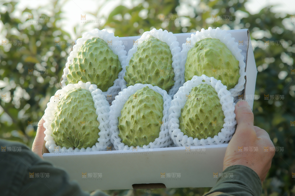 释迦果