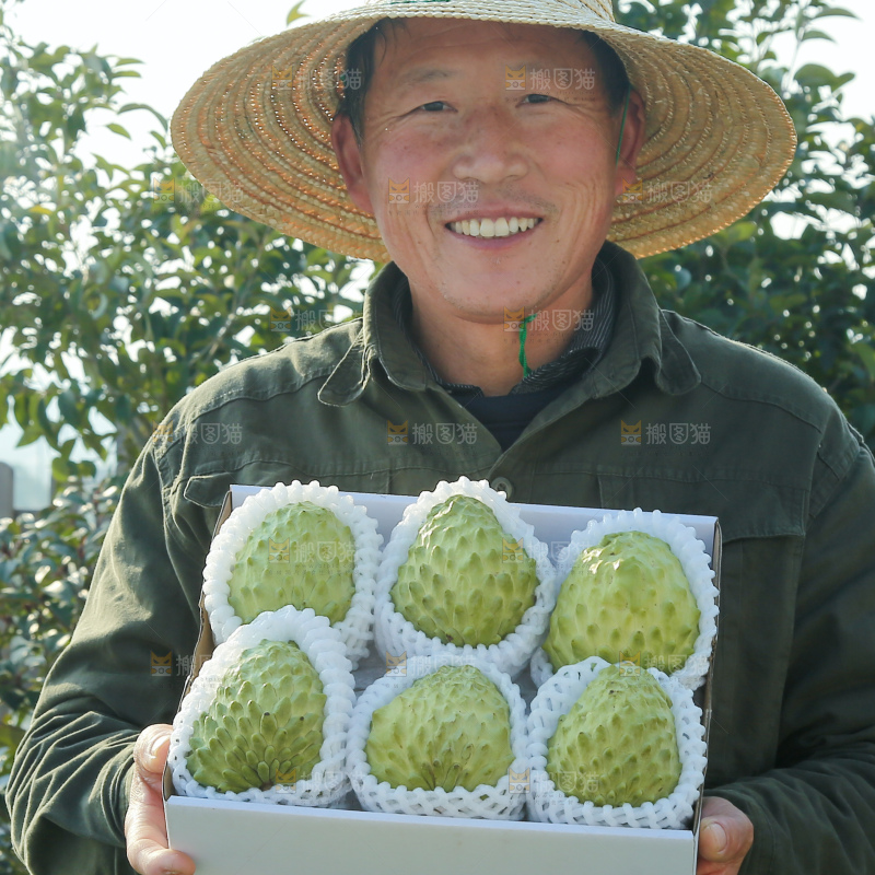 释迦果
