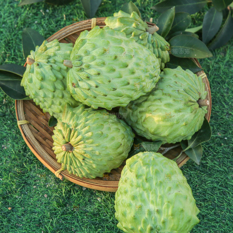 释迦果