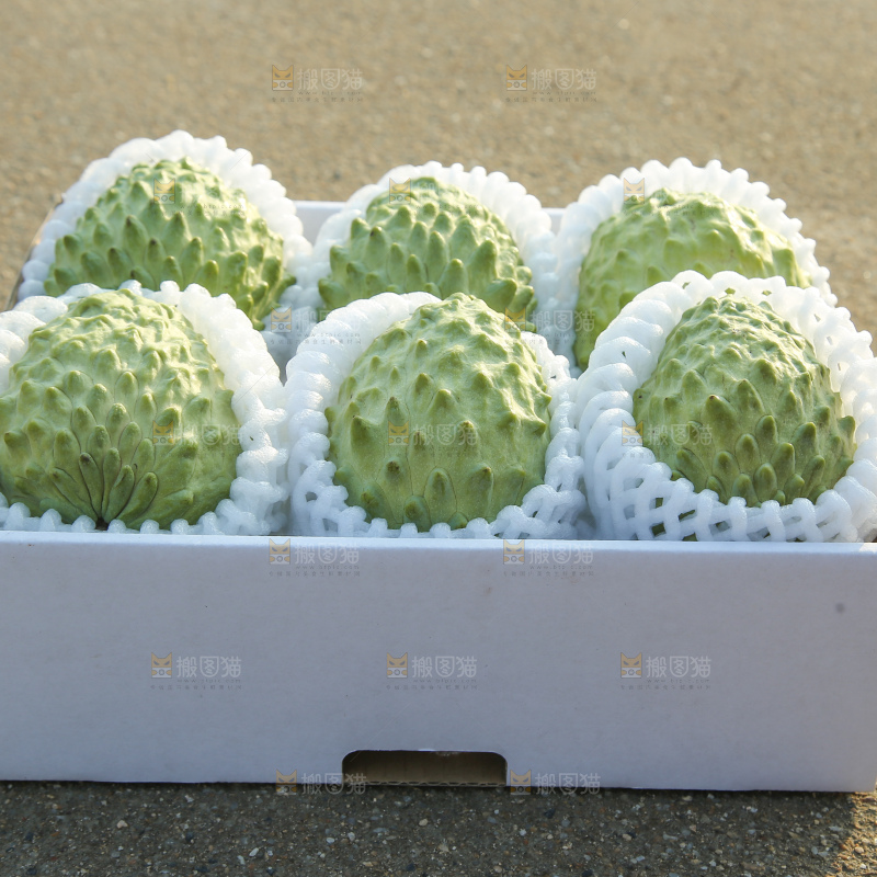 释迦果