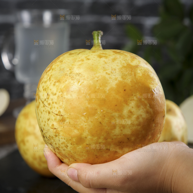连州水晶梨