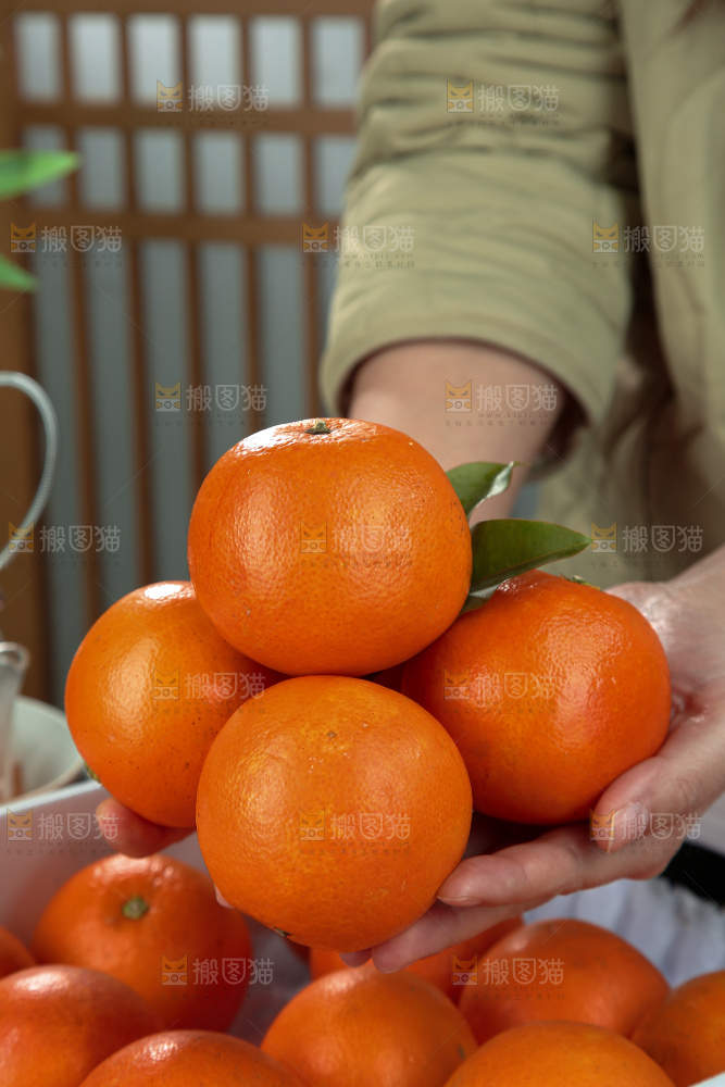 塔罗科血橙