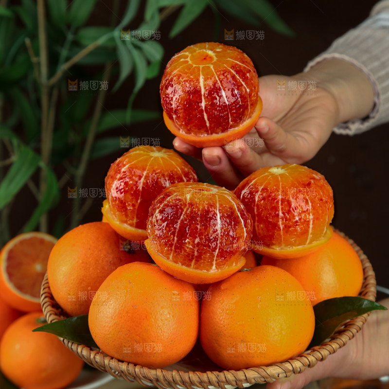 塔罗科血橙