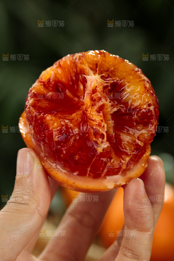 塔罗科血橙
